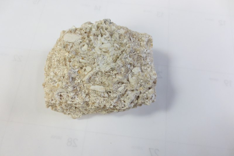 Coquina