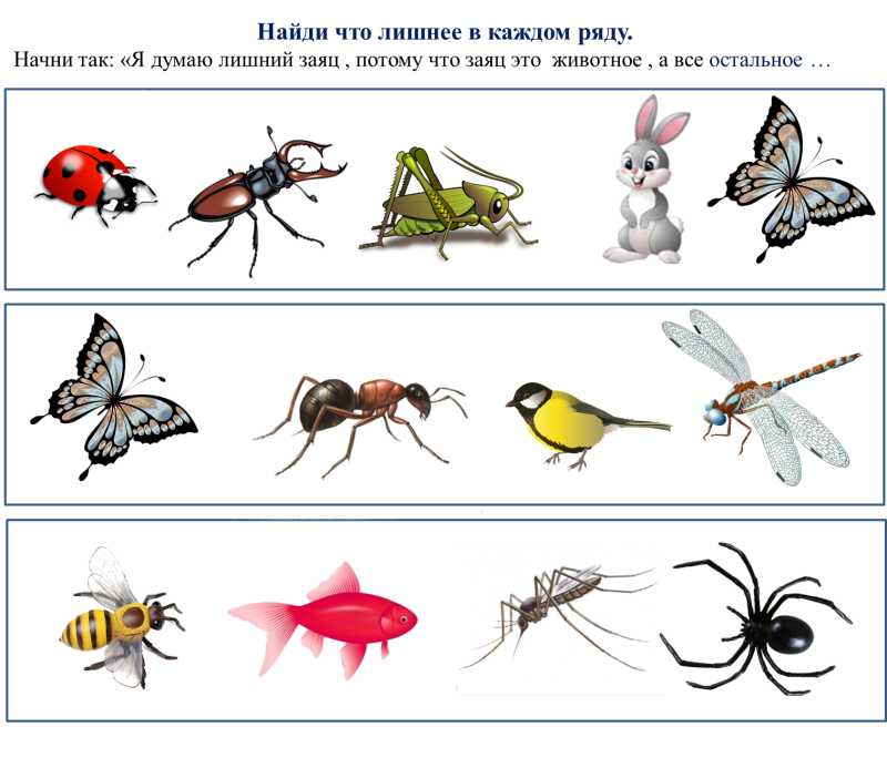 Насекомые задания