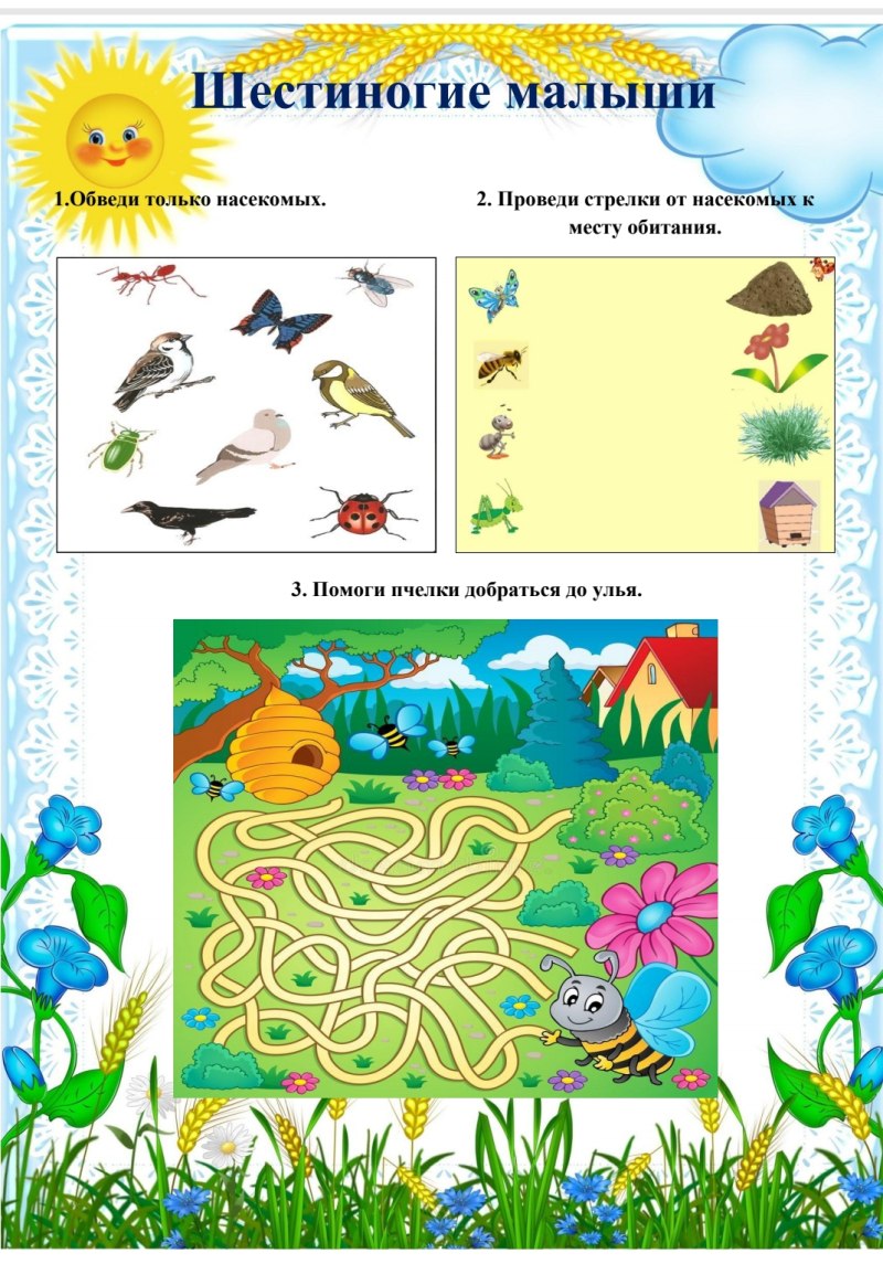 Шестиногие малыши презентация