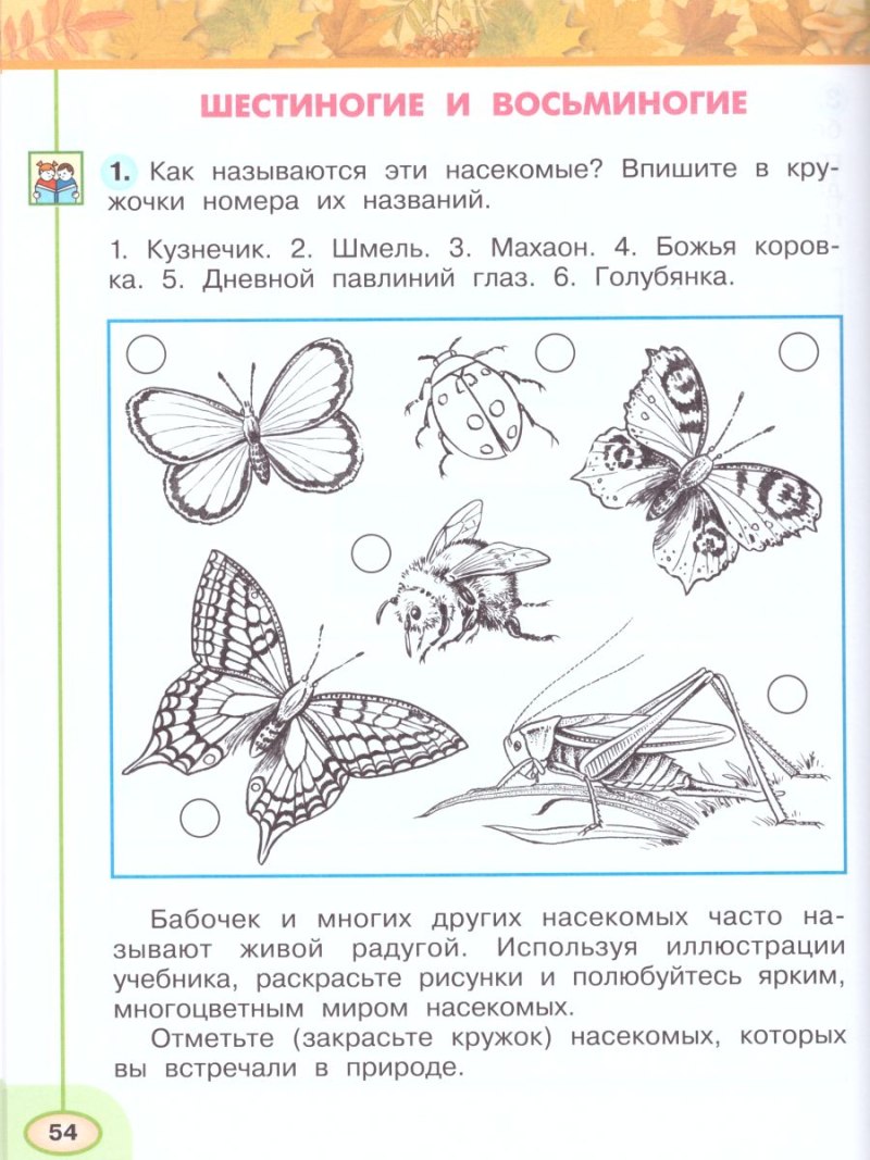 Рисунок красота растений 2 класс окружающий мир