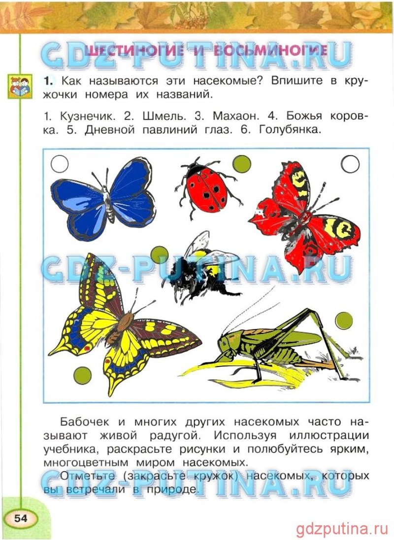 Насекомые окружающий мир 2 класс рабочая тетрадь
