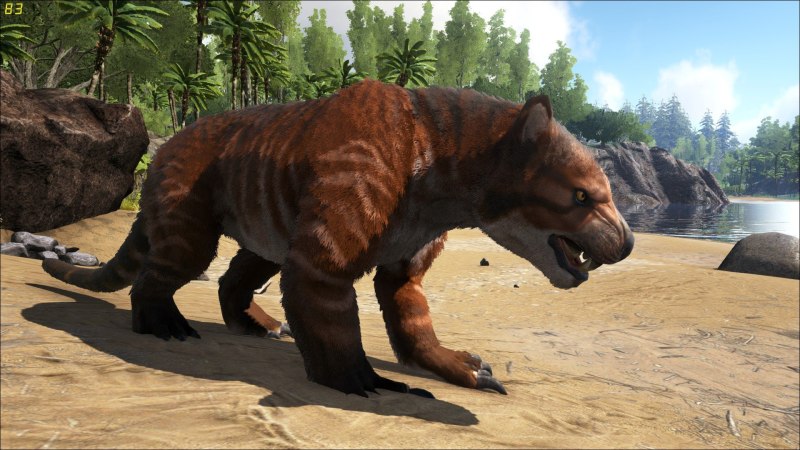 Thylacoleo АРК