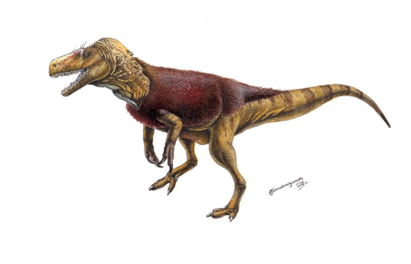 Marshosaurus Skeleton