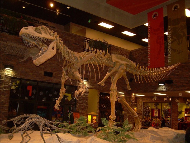 Torvosaurus tanneri