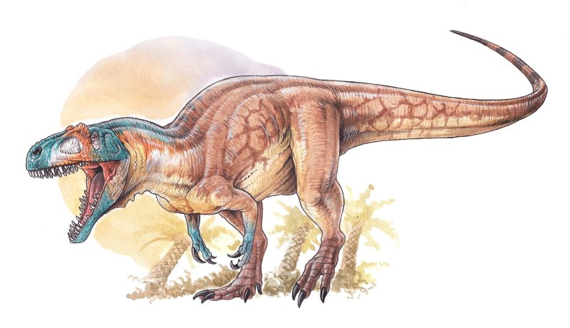 Asfaltovenator vialidadi