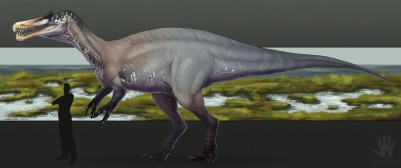 Suchomimus tenerensis