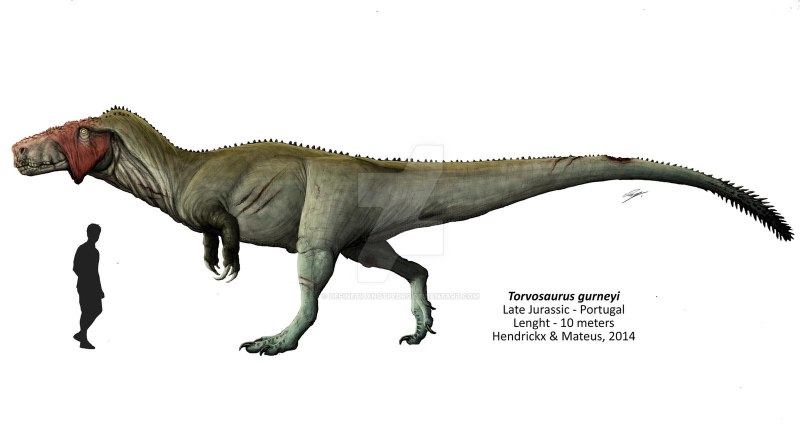 Torvosaurus gurneyi