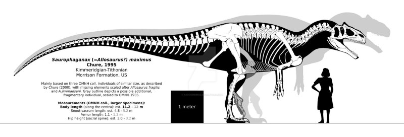 Torvosaurus tanneri