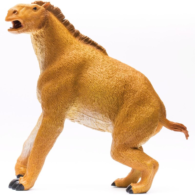 Моропус Collecta