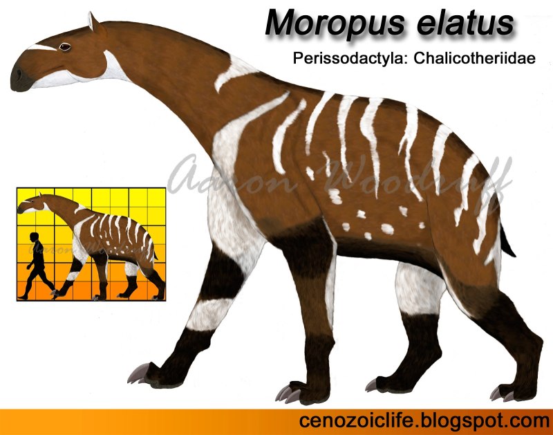Моропус игрушка