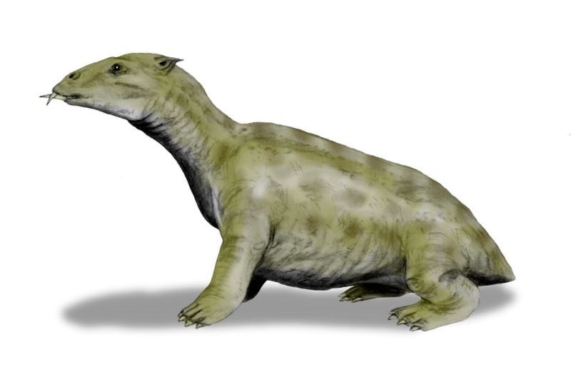 Desmostylus Hesperus