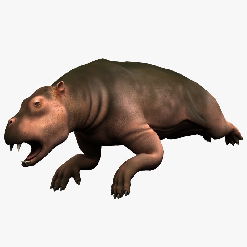 Ounalashkastylus tomidai