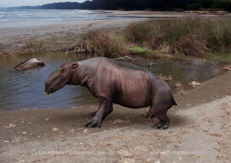 Aktautitan hippopotamopus