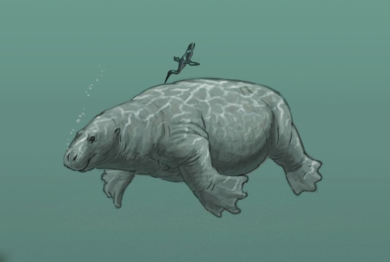 Desmostylus Hesperus
