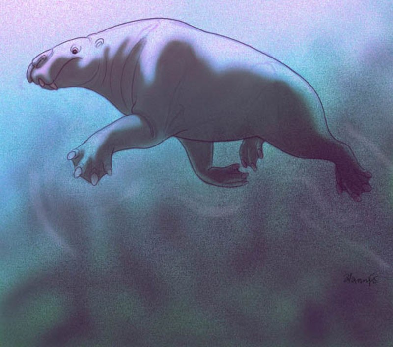 Desmostylus Hesperus