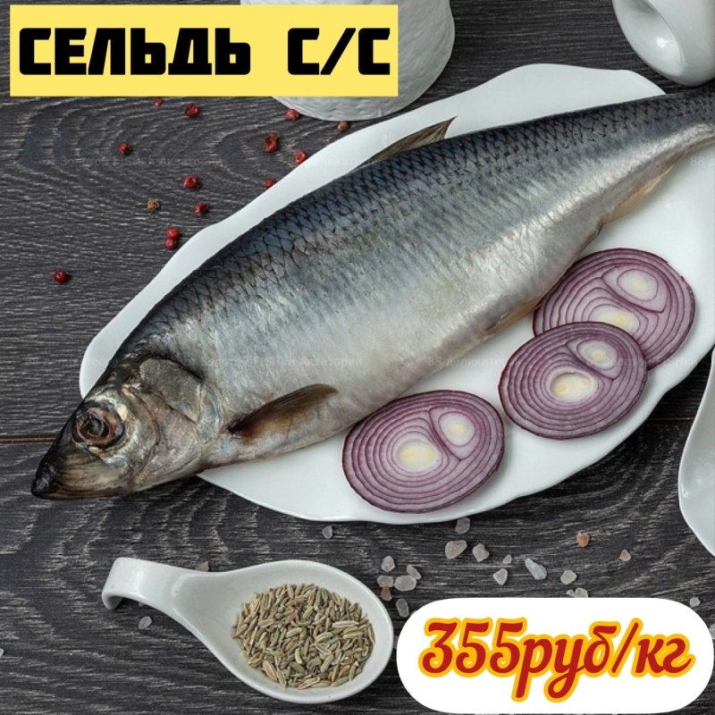 Каспийская сельдь