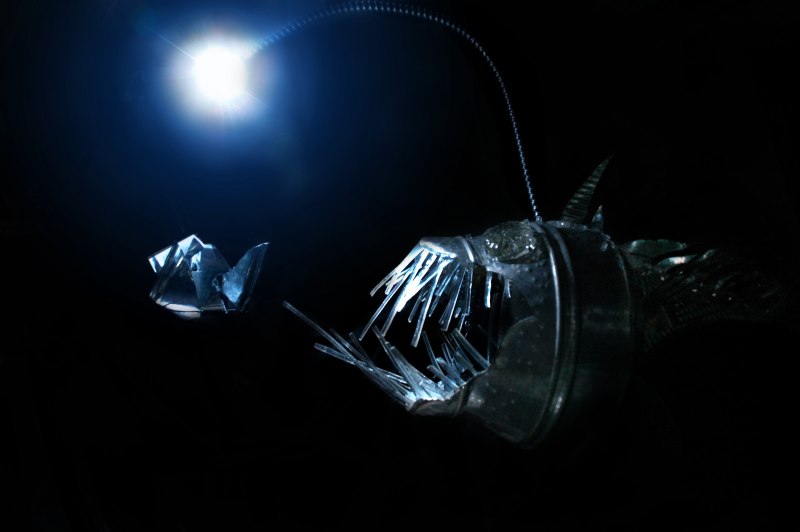 Deep Sea Anglerfish
