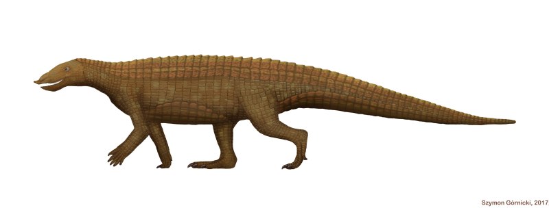 Aetosauria
