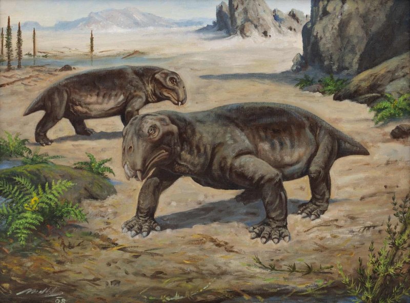 Листрозавры (Lystrosaurus),