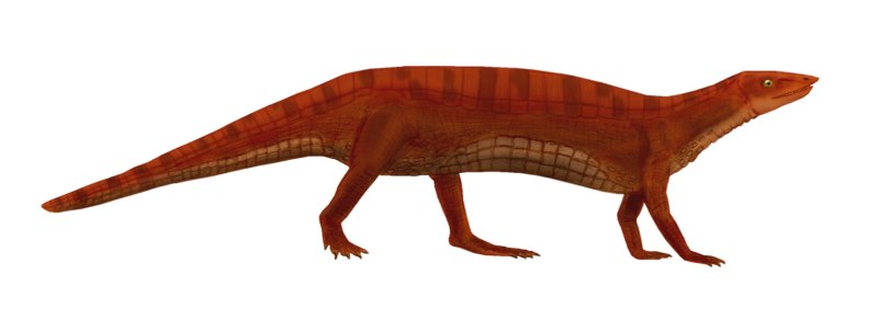 Thecodontia. Текодонты