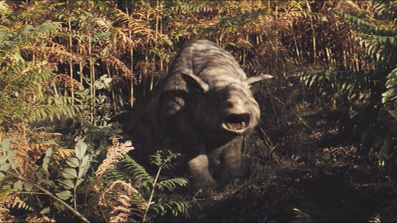 Megacerops Sound Effects