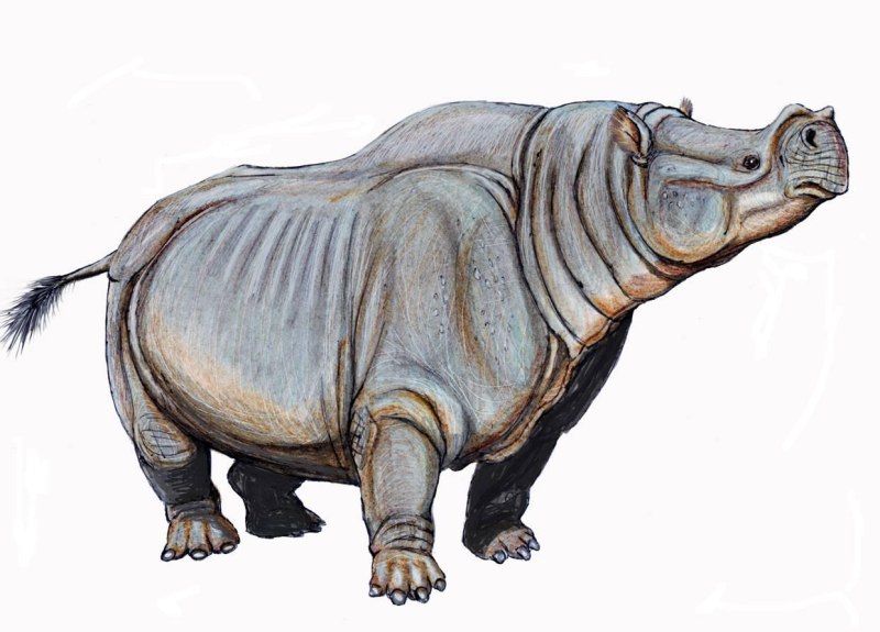 Aktautitan hippopotamopus