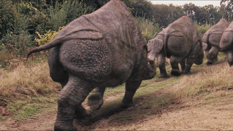 Embolotherium Primeval