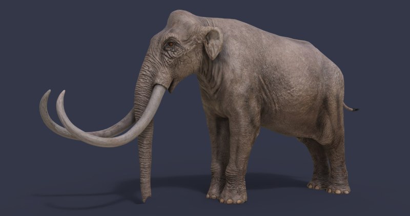 Мамонт 3d модель