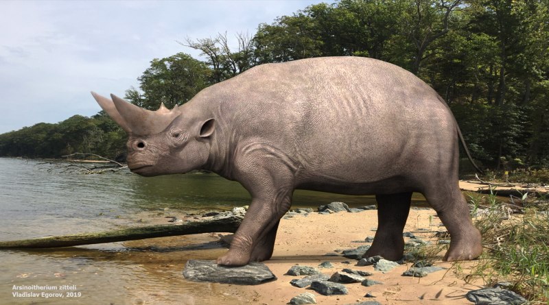 Arsinoitherium zitteli