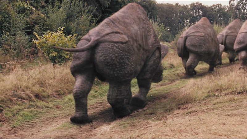 Embolotherium Primeval