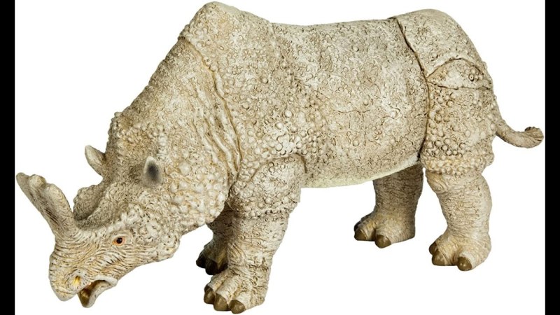 Мегацеропс Collecta