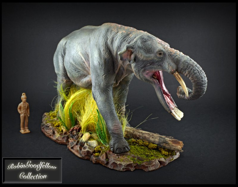 Гомфотерий Collecta