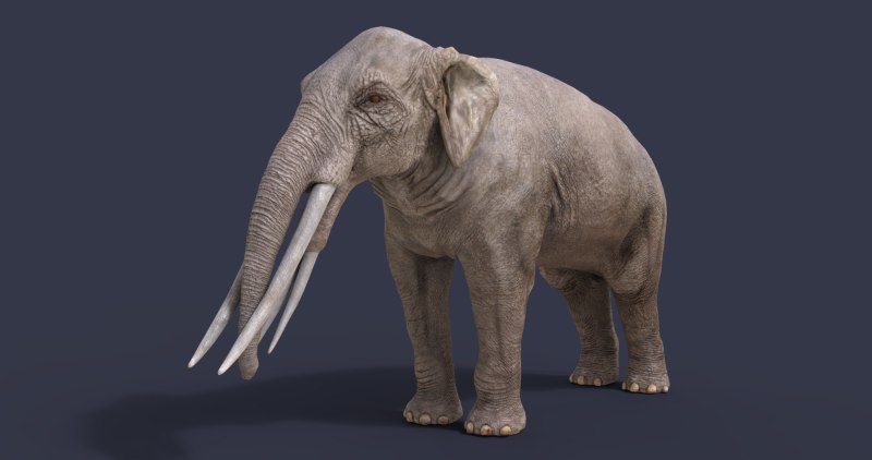 Stegotetrabelodon syrticus