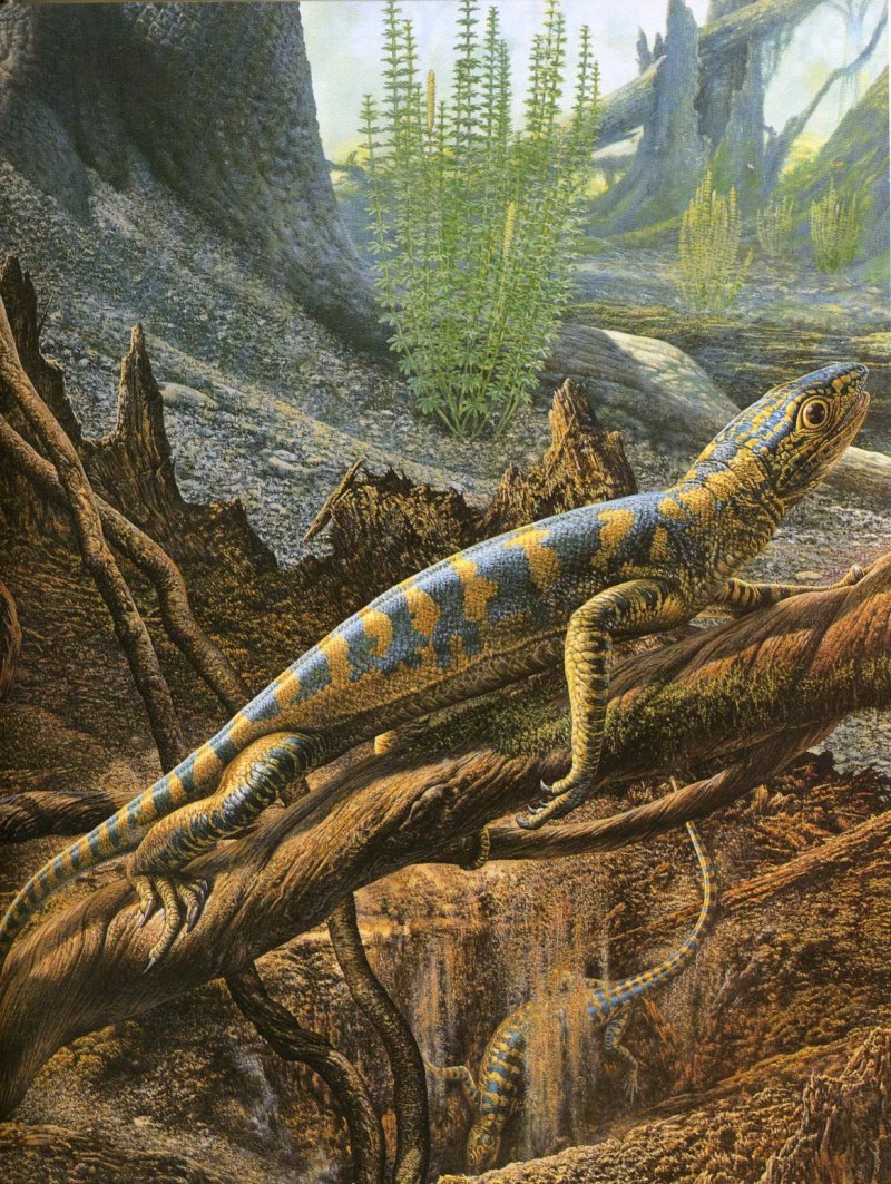 Гилономус (Hylonomus)