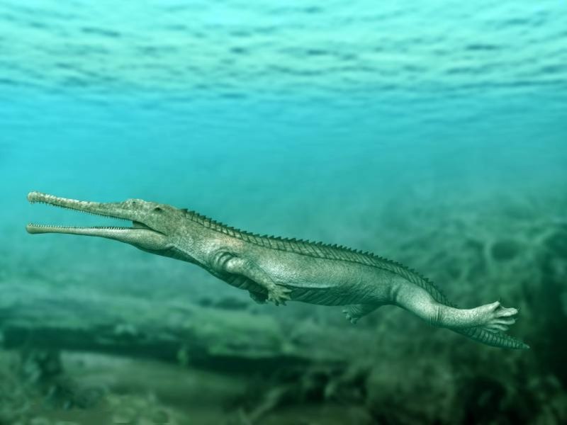 Mystriosuchus