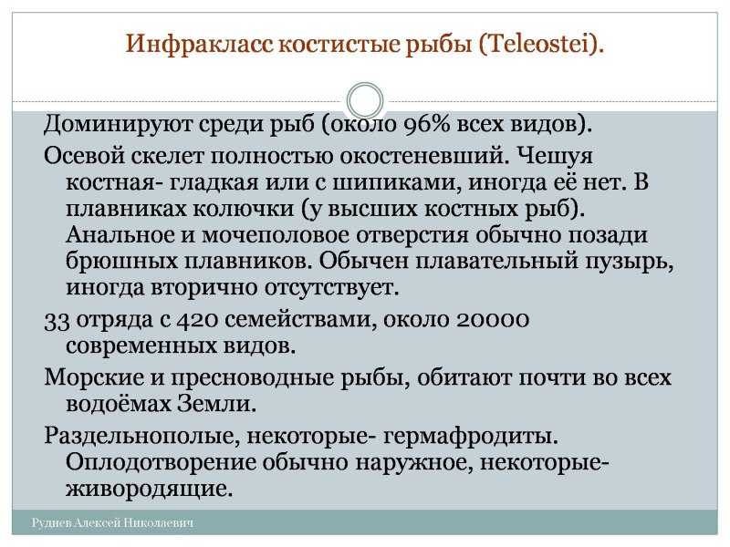 Инфракласс костистые рыбы (Teleostei)