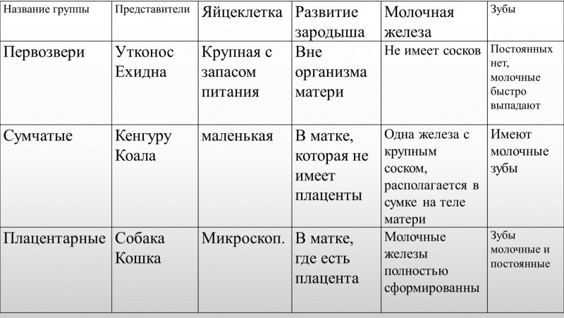 Сравнительная таблица по биологии 7 класс млекопитающие