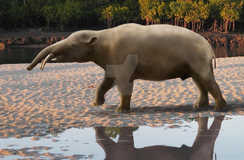 Granastrapotherium snorki