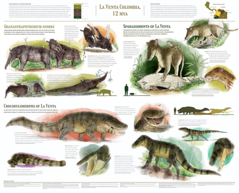 Cenozoic crocodylomorphs