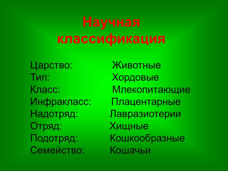 Инфракласс плацентарные систематика