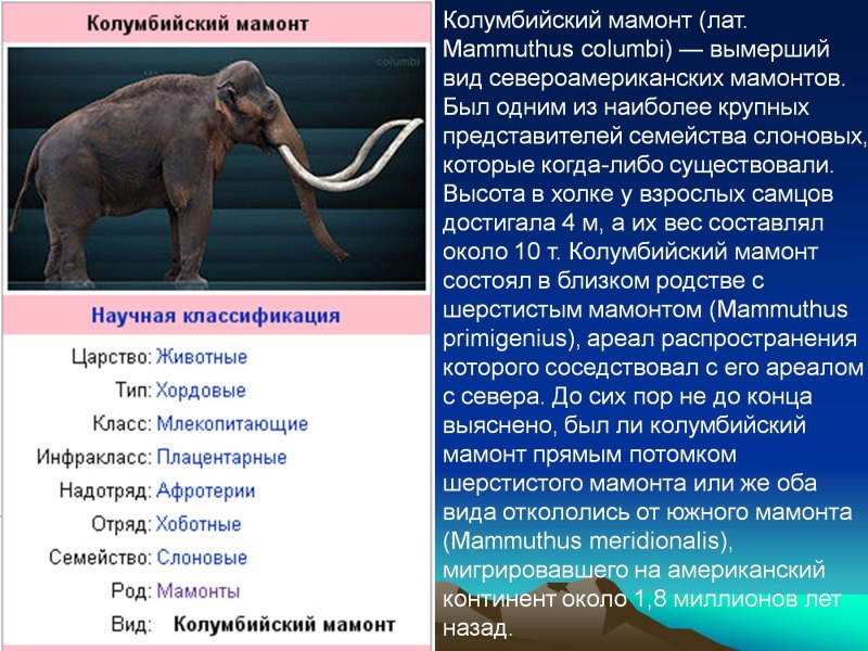 Сообщение про Мамонтов 5 класс