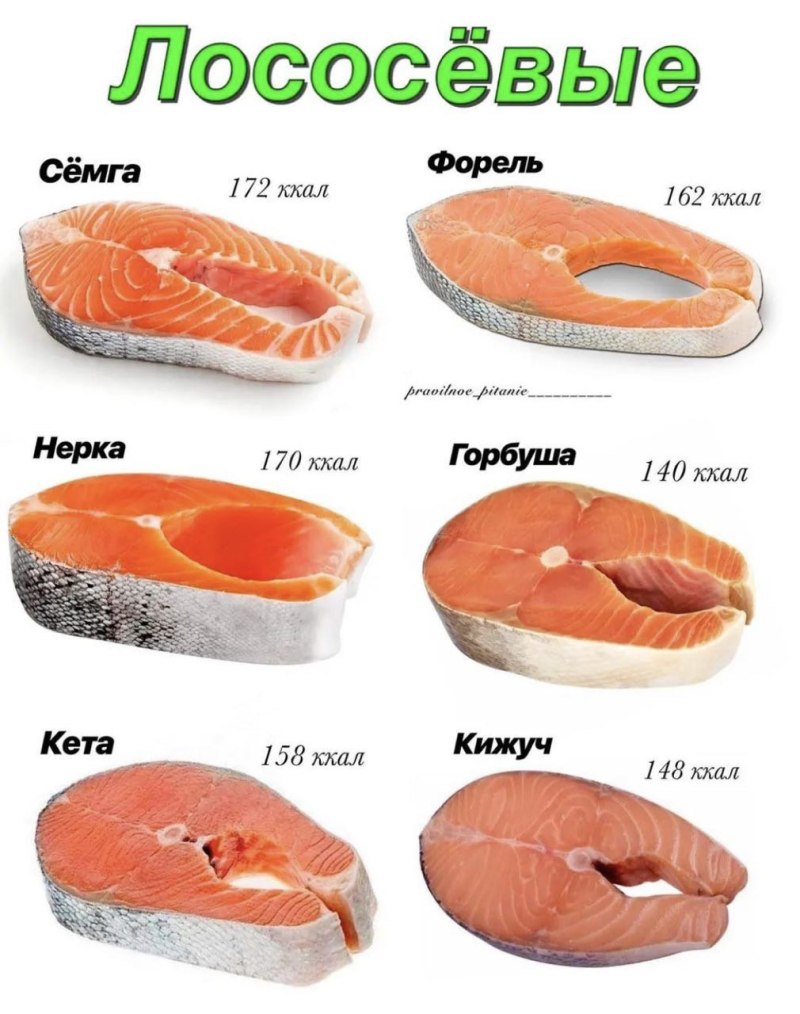 Чавыча польза