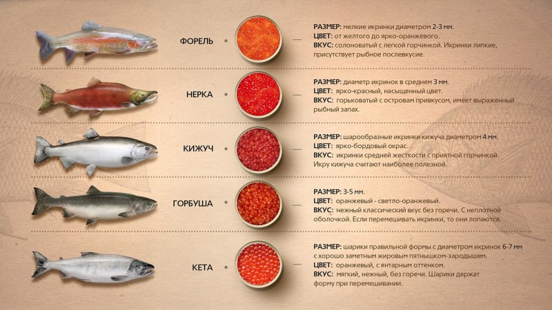 Сорта красной рыбы