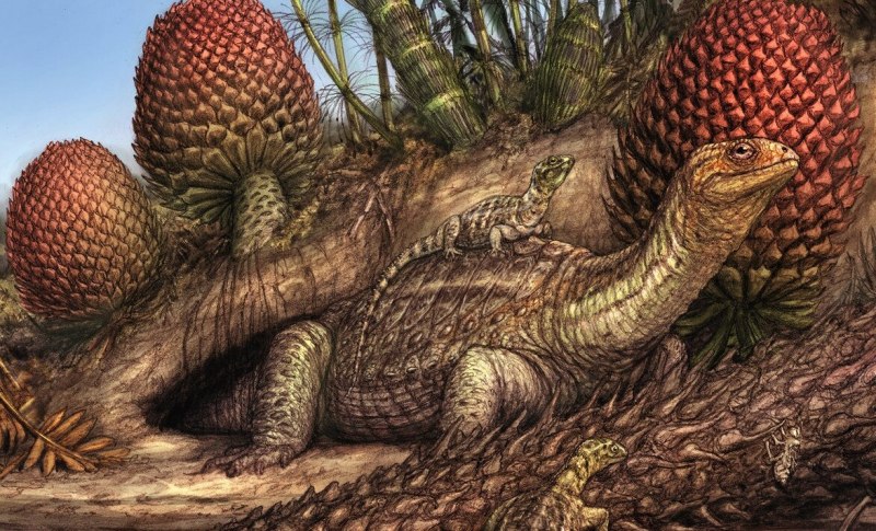 Pappochelys rosinae