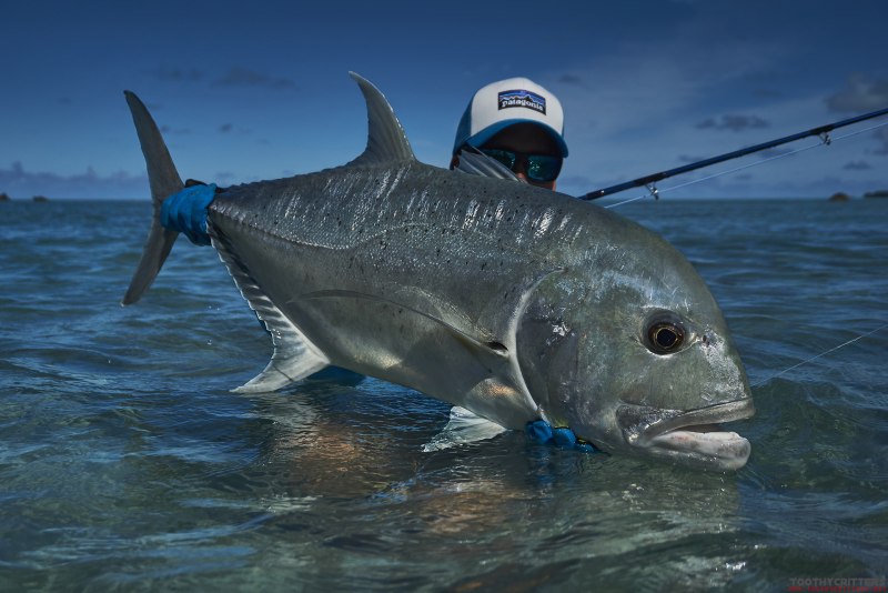Giant Trevally
