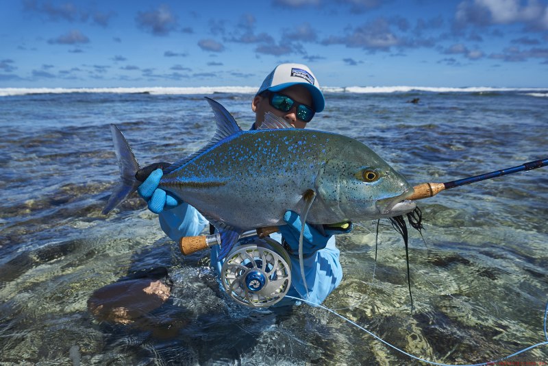 Bluefin Trevally