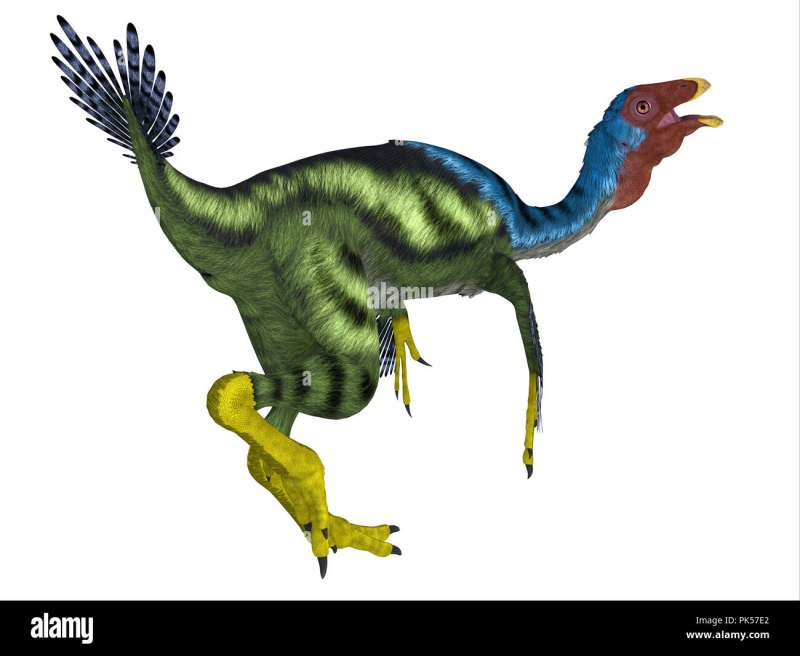Photo Dinosaurs каудиптерикс