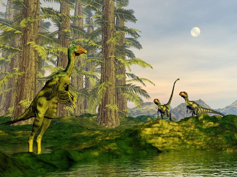 Photo Dinosaurs каудиптерикс