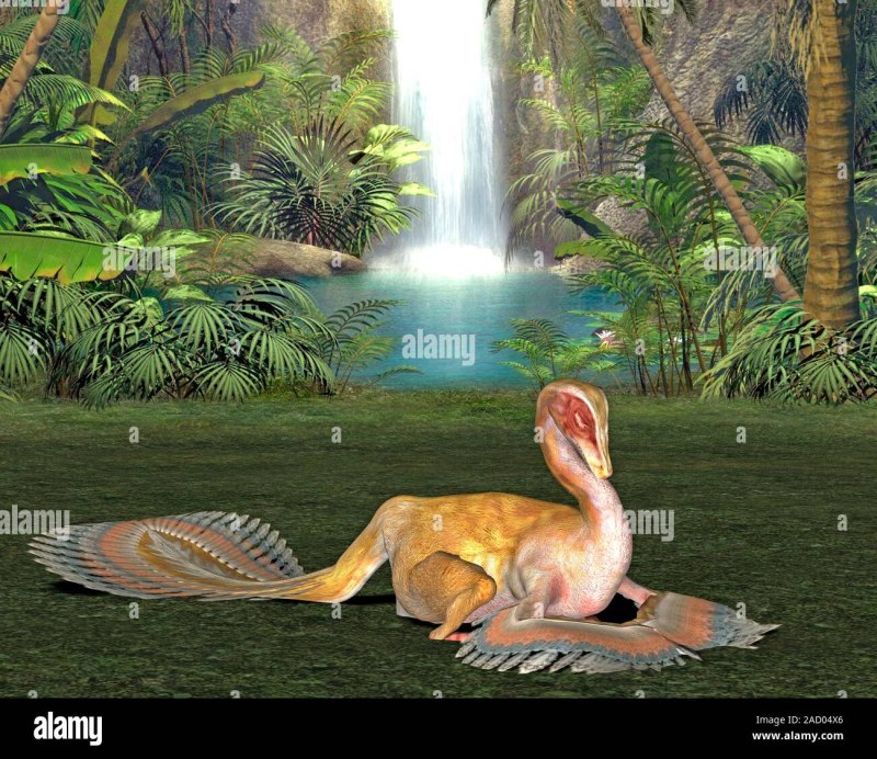 Каудиптерикс Safari
