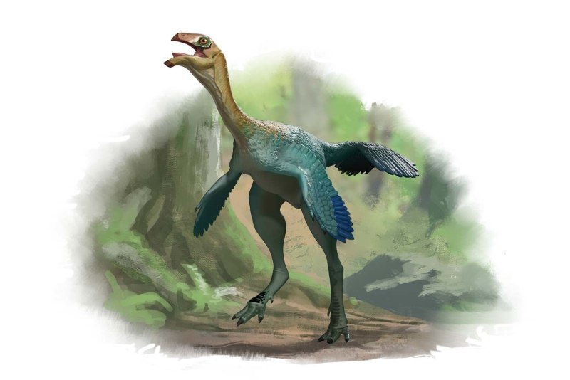Caudipteryx Zoui